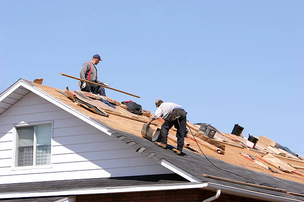 Best Roof Moss and Algae Removal  in New Cassel, NY